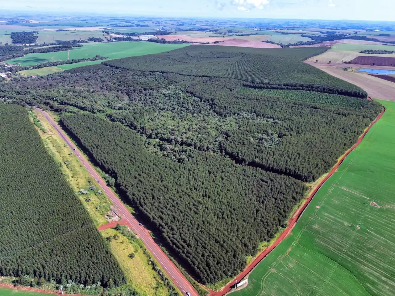 DendroTech - Engenharia e Projetos Florestais - Slide 1 DendroTech - Engenharia e Projetos Florestais - Slide 1