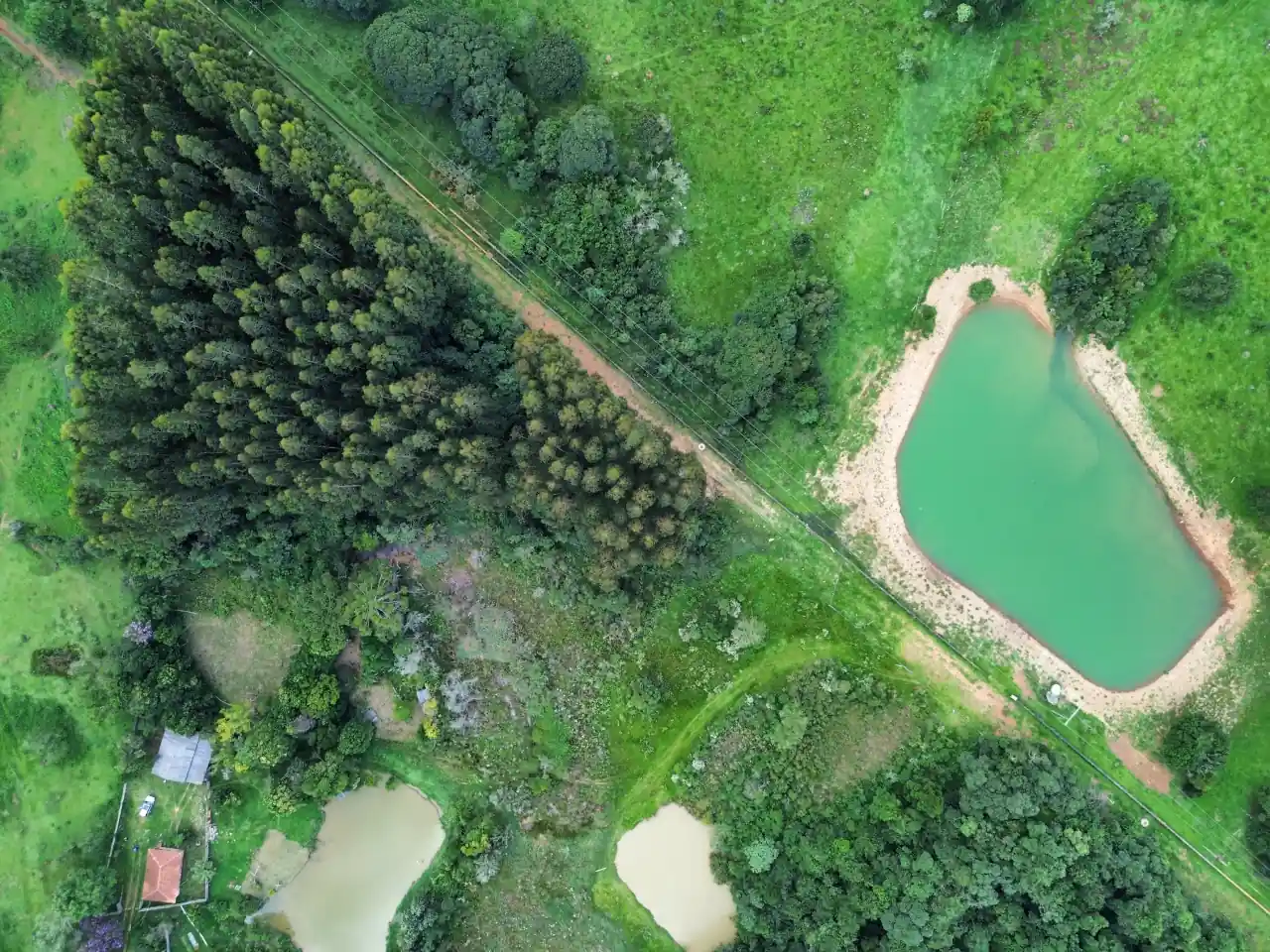 DendroTech - Engenharia e Projetos Florestais - Slide 2 DendroTech - Engenharia e Projetos Florestais - Slide 2