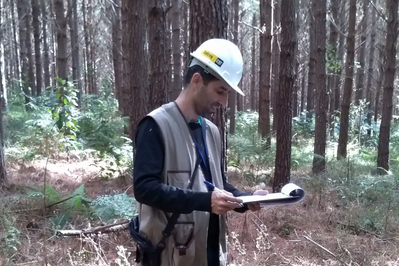 DendroTech - Engenharia e Projetos Florestais - Slide 3 DendroTech - Engenharia e Projetos Florestais - Slide 3