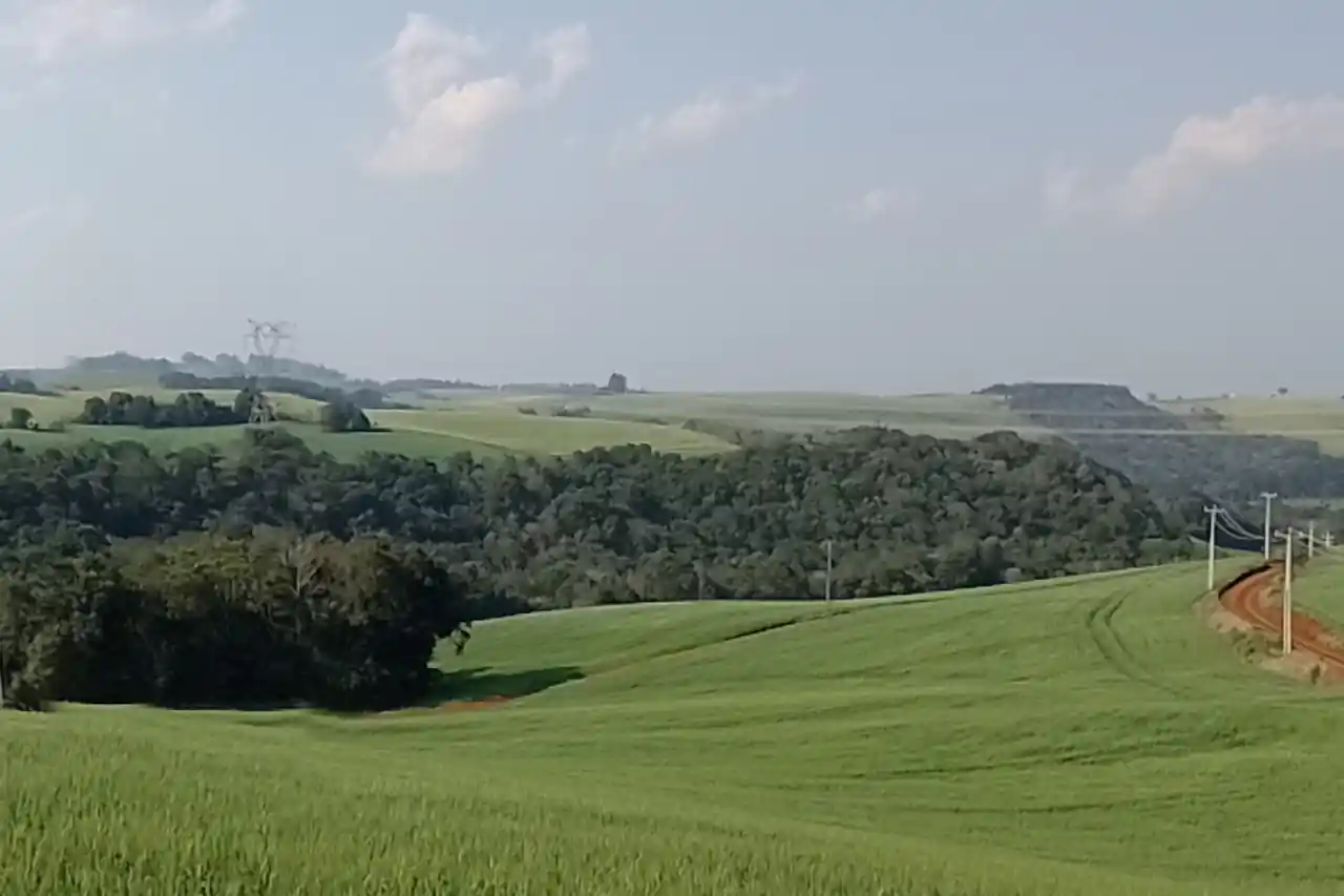 dendrotech engenharia e projetos florestais galeria (1)