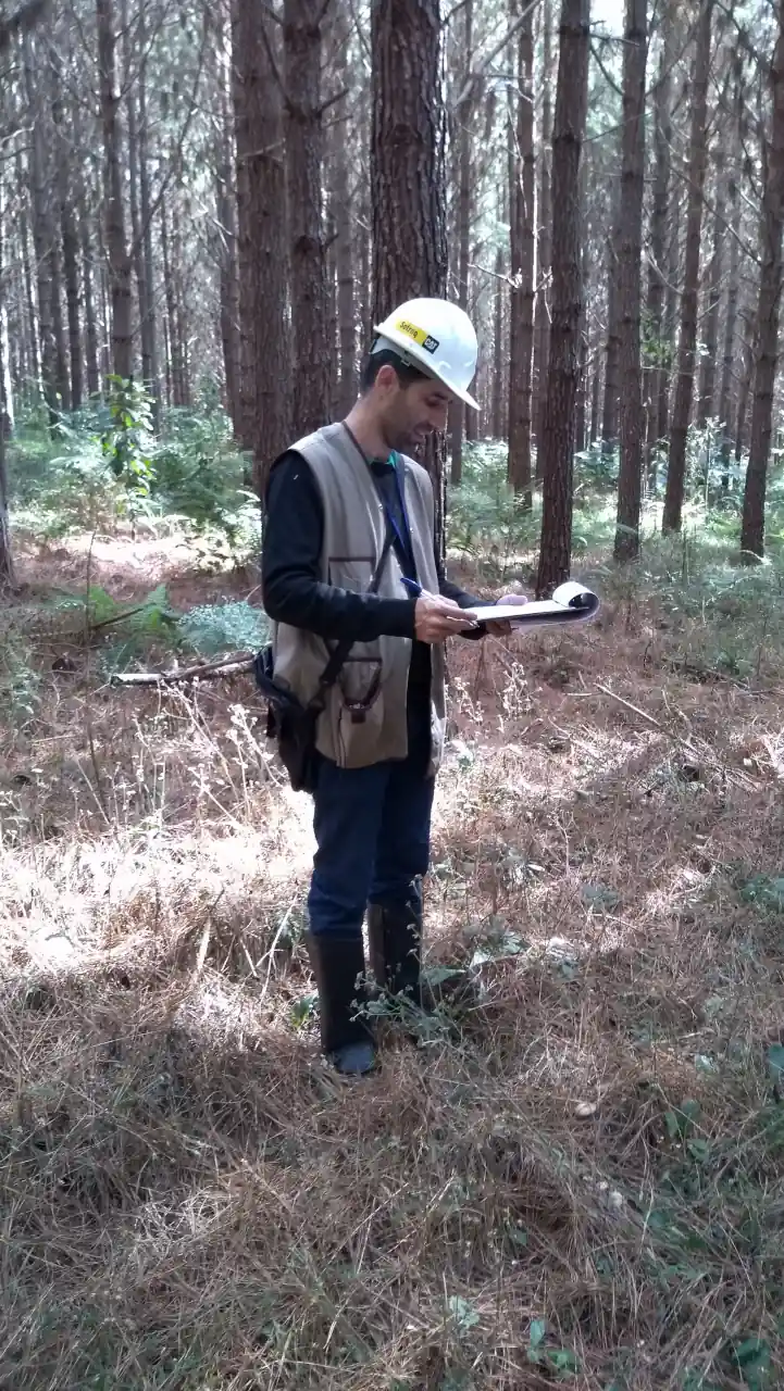 dendrotech engenharia e projetos florestais galeria (13)