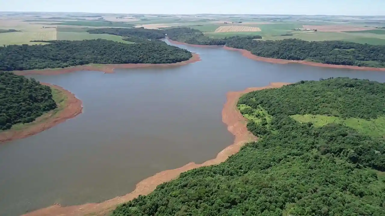 dendrotech engenharia e projetos florestais galeria (4)