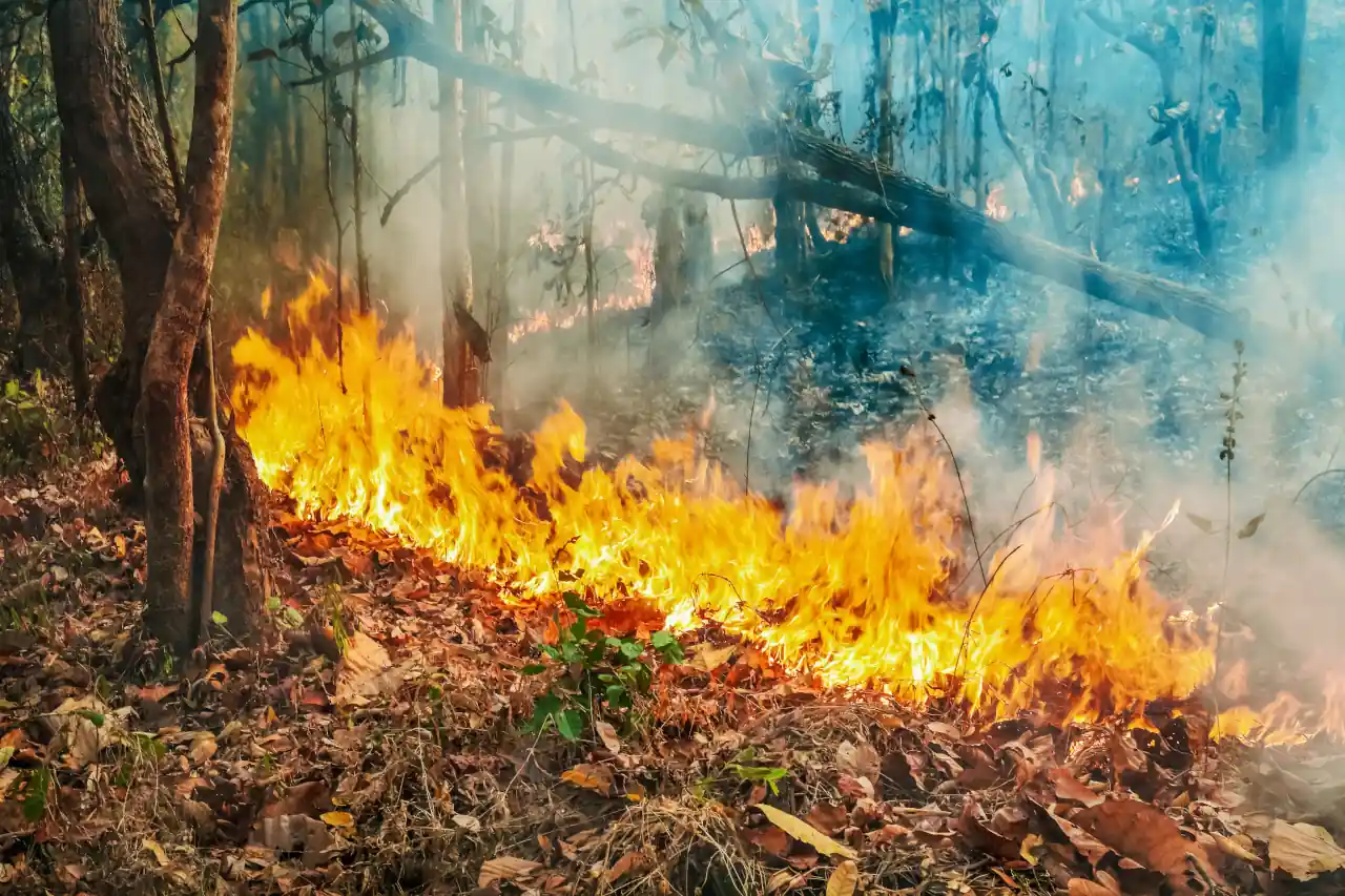 Desastres Naturais- Processamento Digital de Imagens para Análise Geoespacial