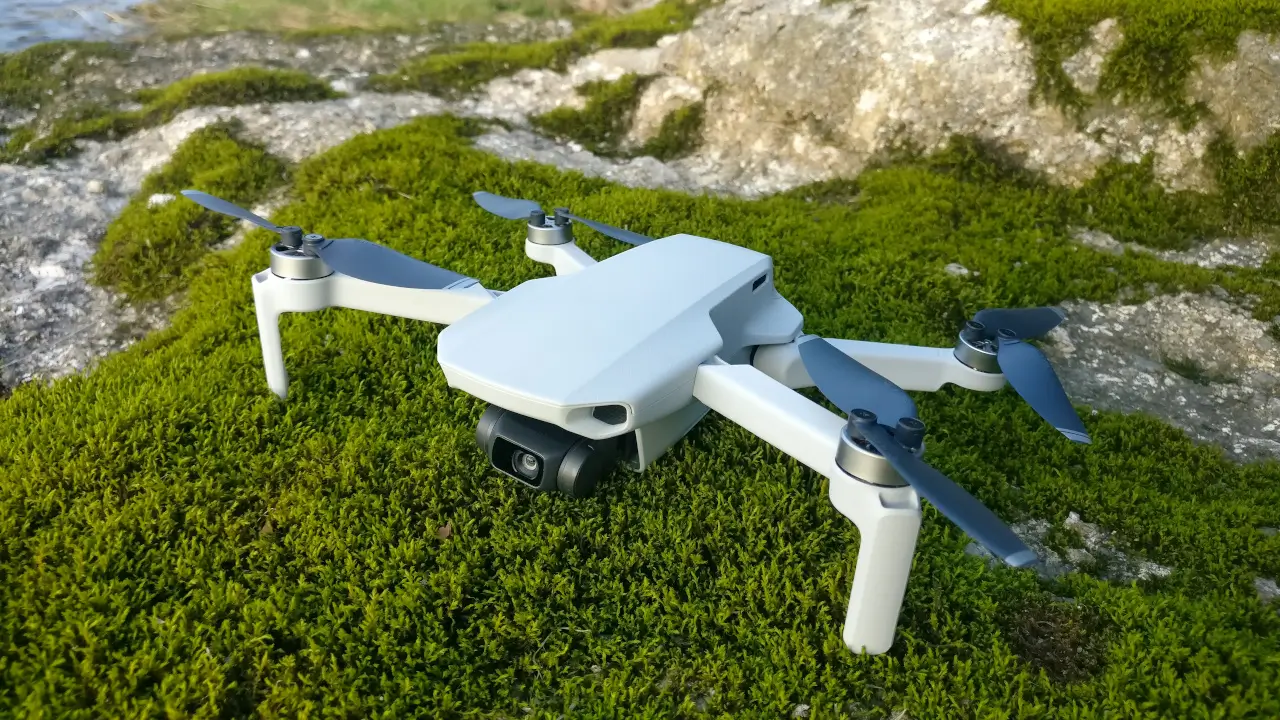 drones na floresta – os melhores equipamentos drone mavic mini ultra