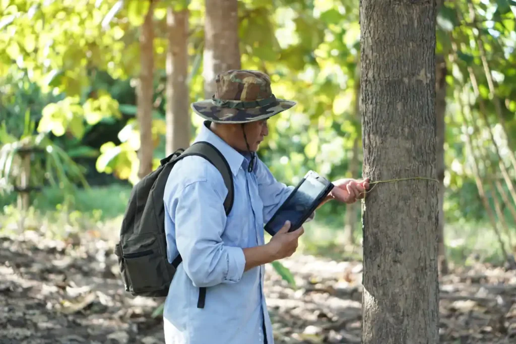 Pesquisador na Floresta - Inovações na Mensuração Hipsométrica e Volumétrica Florestal